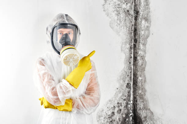 Best Mold Removal for HVAC Installations in Falling Water, TN